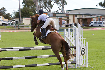 Image showing Horse Jumping