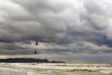 Image showing Two seagulls fly over the sea to cloudy weather.