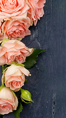 Image showing Pink Roses