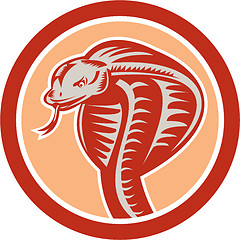 Image showing Cobra Viper Snake Head Circle Retro