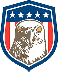 Image showing American Bald Eagle Head Stars Shield Retro