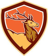 Image showing Deer Stag Buck Head Shield Retro