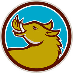 Image showing Razorback Head Looking Up Circle Retro