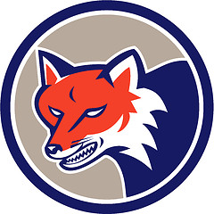 Image showing Red Fox Head Angry Circle Retro