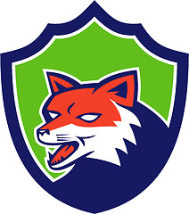 Image showing Red Fox Head Growling Shield Retro