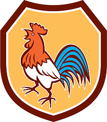 Image showing Chicken Rooster Crowing Looking Up Shield Retro