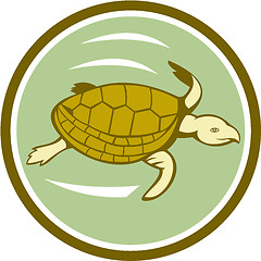 Image showing Sea Turtle Swimming Circle Cartoon