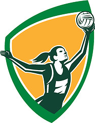 Image showing Netball Player Catching Ball Shield Retro