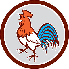 Image showing Chicken Rooster Crowing Looking Up Circle Retro