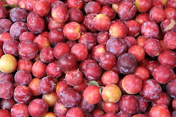 Image showing Plums