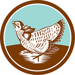 Image showing Prairie Chicken Retro Circle