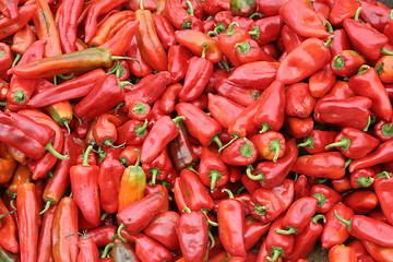 Image showing Red chilies