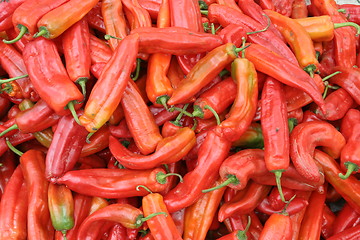 Image showing Red chilies