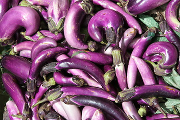 Image showing Eggplants