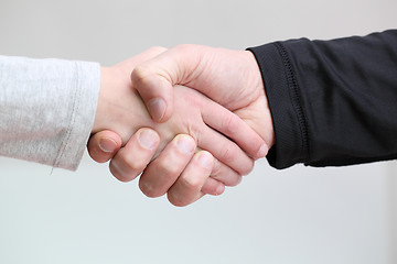 Image showing  handshake 