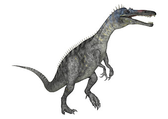 Image showing Dinosaur Suchomimus