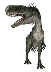 Image showing Dinosaur Monolophosaurus