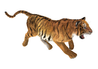 Image showing Trotting Tiger