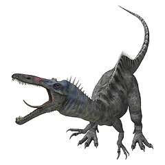 Image showing Dinosaur Suchomimus