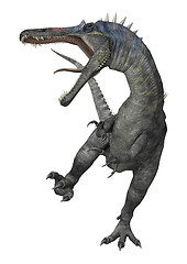 Image showing Dinosaur Suchomimus