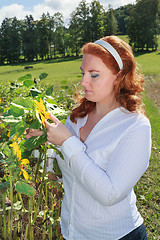 Image showing Obese redhead woman in a sunflower field.