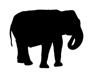 Image showing Elephant silhouette