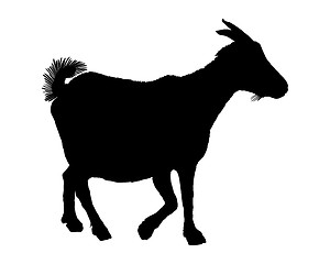 Image showing Goat silhouette 