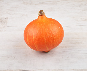 Image showing Single Pumpkin