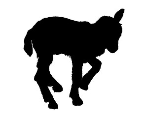 Image showing Kid silhouette