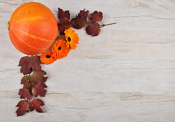 Image showing Pumpkin background