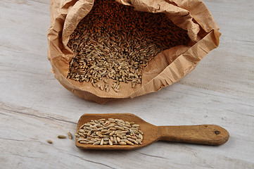 Image showing Grain in bag