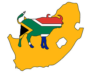 Image showing South Africa buffalo 