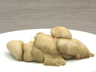 Image showing Oyster mushrooms on a white plate of chinaware