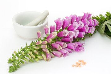 Image showing Digitalis with pills