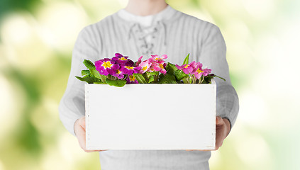 Image showing close up of man holding big pot with flowers