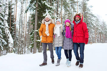 Image showing group of smiling men and women in winter forest