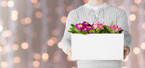 Image showing close up of man holding big pot with flowers