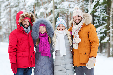 Image showing group of smiling men and women in winter forest