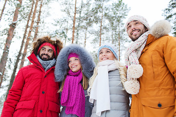 Image showing group of smiling men and women in winter forest