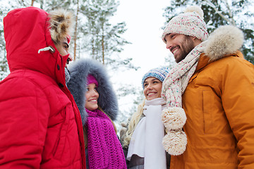 Image showing group of smiling men and women in winter forest