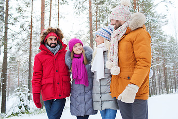 Image showing group of smiling men and women in winter forest