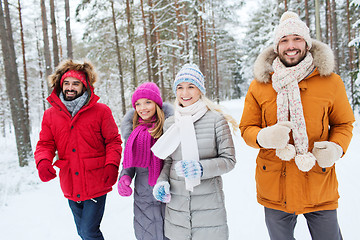 Image showing group of smiling men and women in winter forest