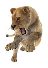 Image showing Hunting Lioness