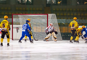 Image showing Joel Oten (1) goaltender of SKA team