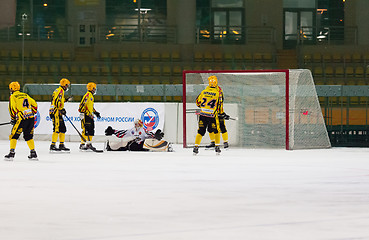 Image showing Dissapointed goaltender