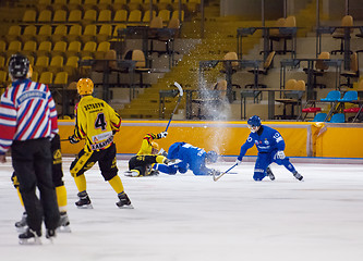 Image showing Fall down catching a puck