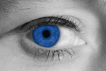 Image showing blue eye