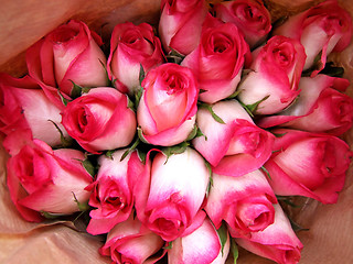 Image showing Pink bouquet