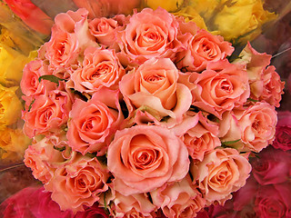 Image showing Roses bouquet