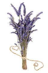 Image showing Lavender Herb Flowers